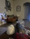 Jellybean photo 5