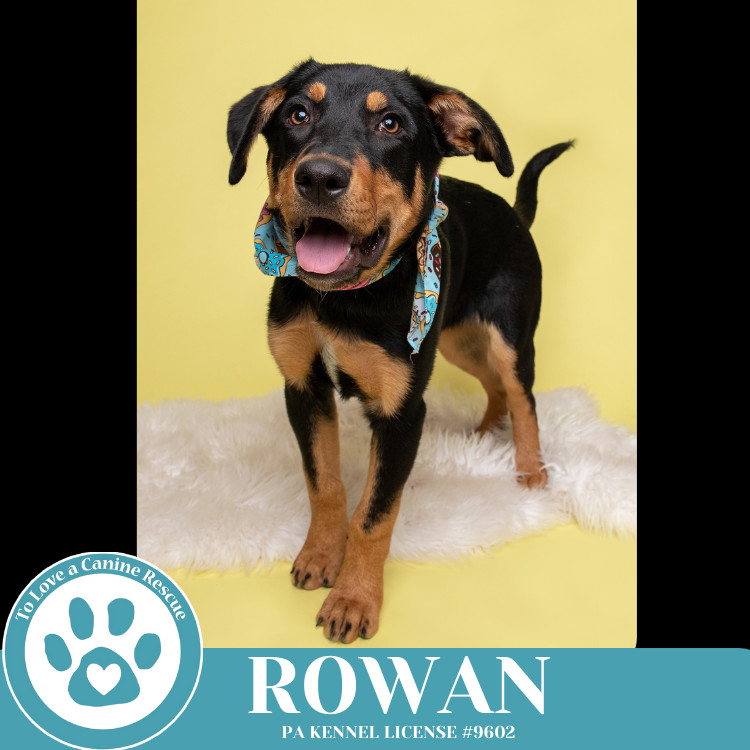 Rowan (The Ruffnecks) 040525