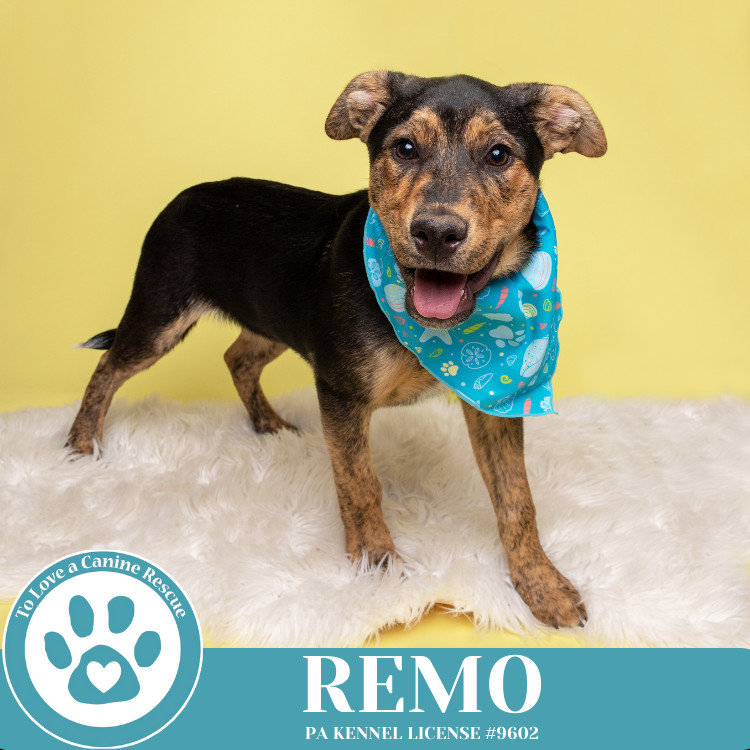 Remo (The Ruffnecks) 040525