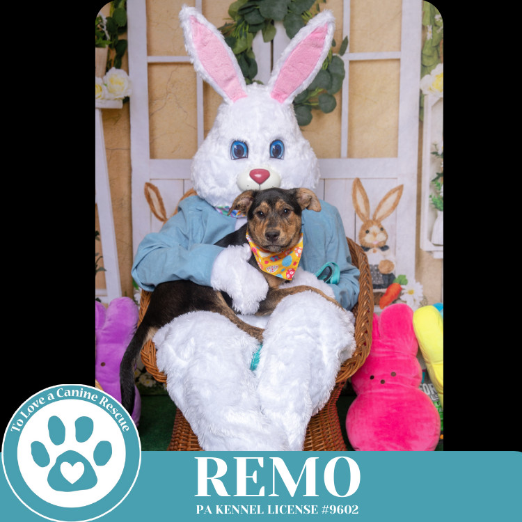 Remo (The Ruffnecks) 040525