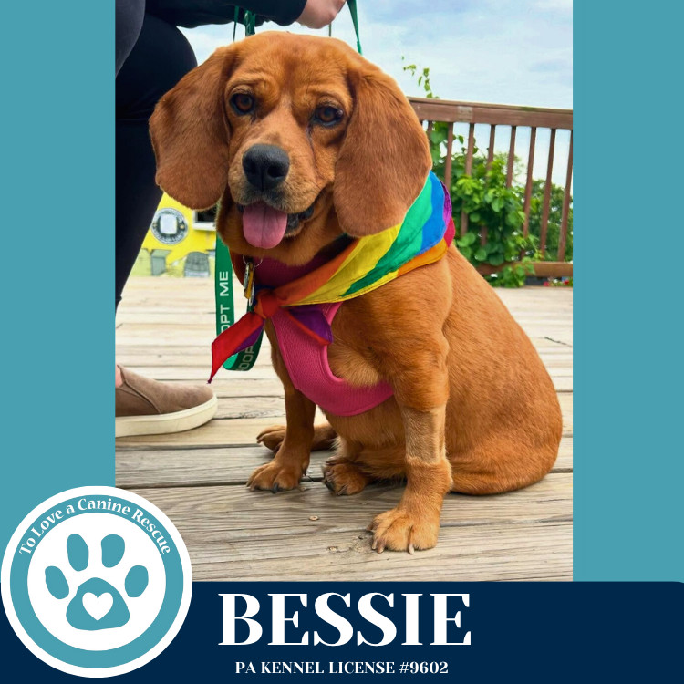 Bessie 040525