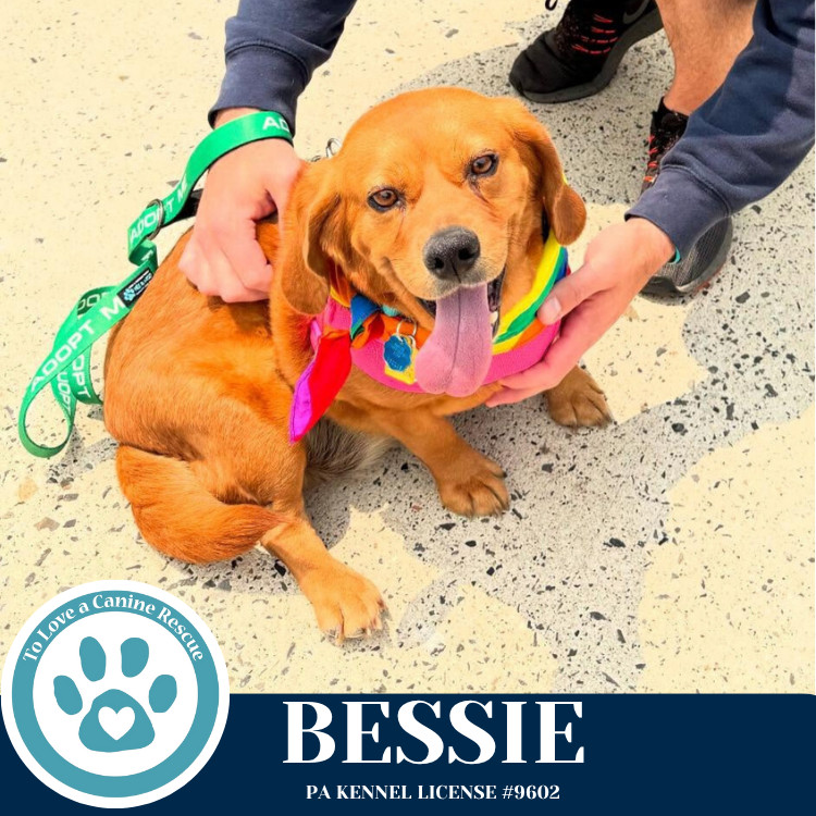 Bessie 040525