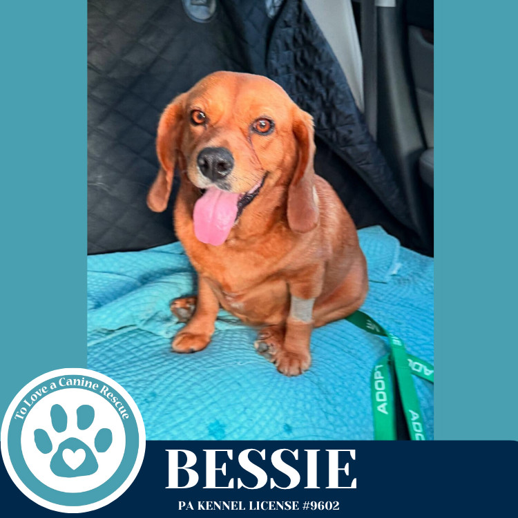 Bessie 040525