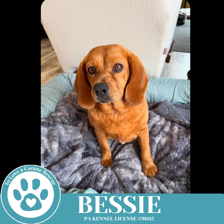 Bessie 040525