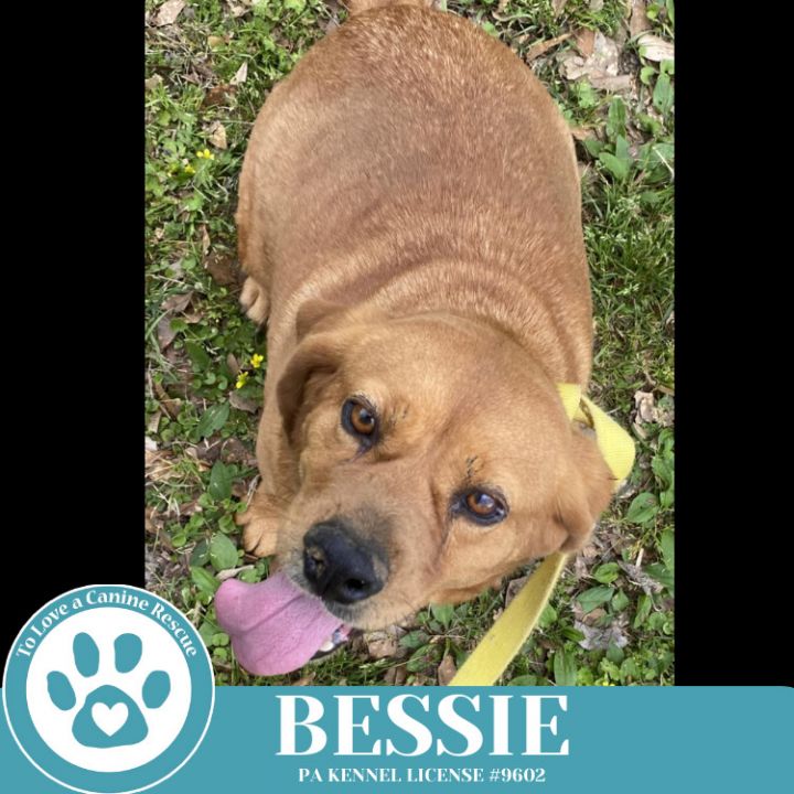 Bessie 040525 5
