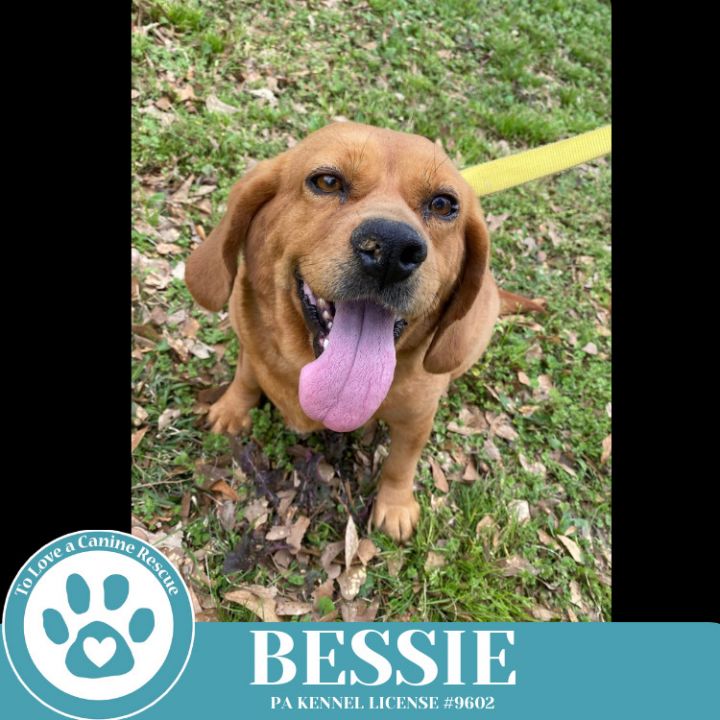 Bessie 040525 6