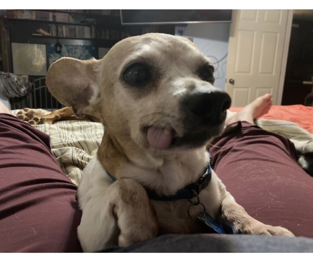 Tito