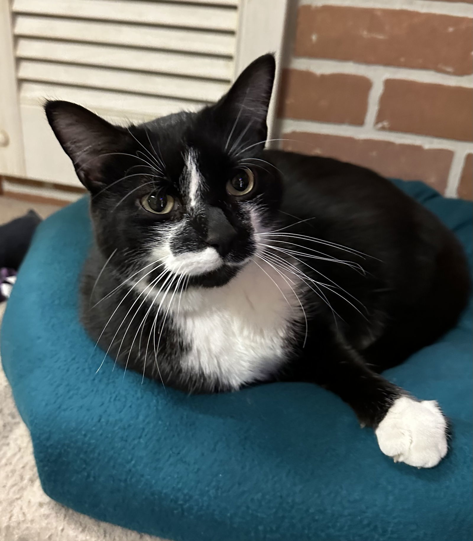 Linus