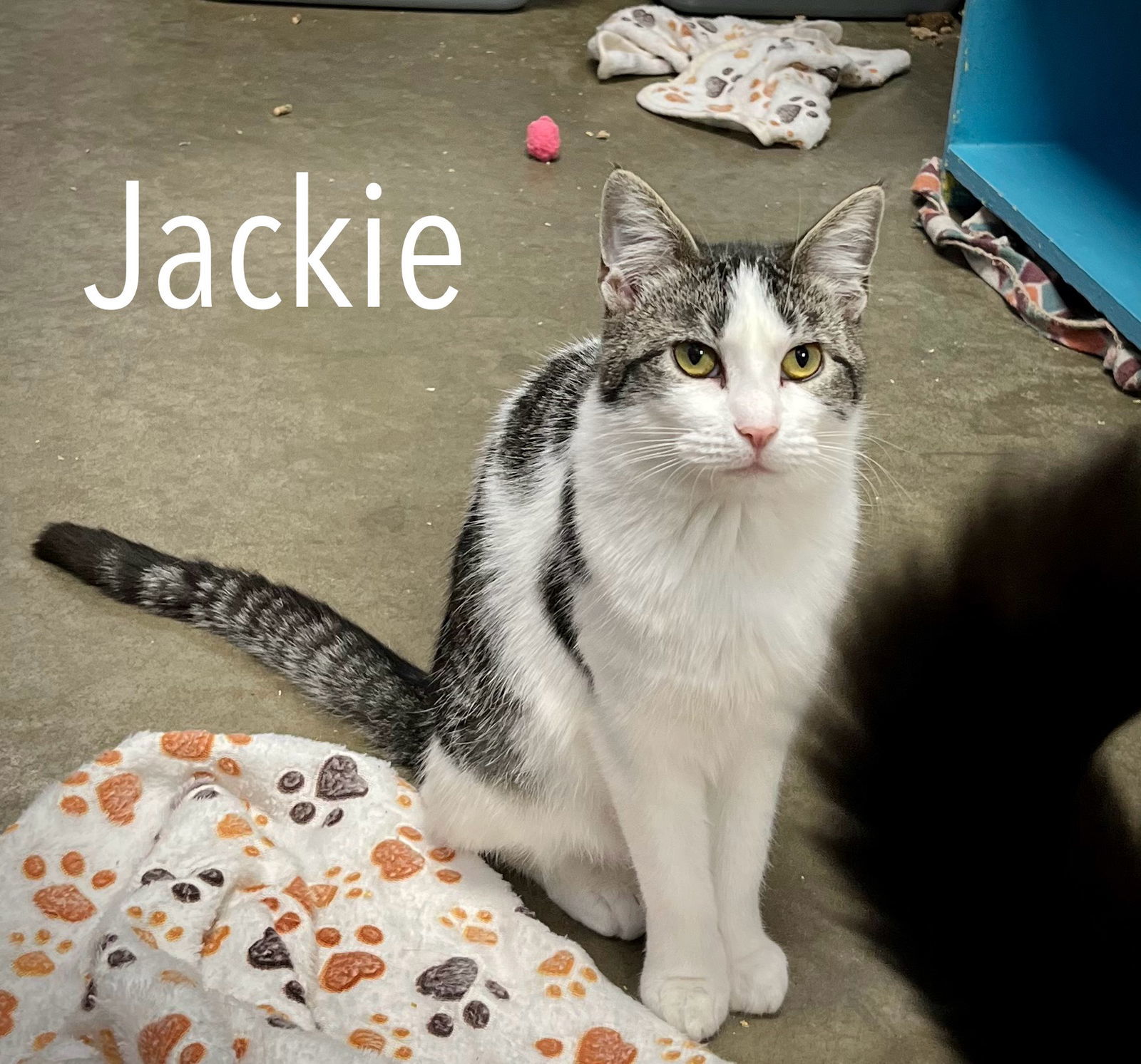 Jackie