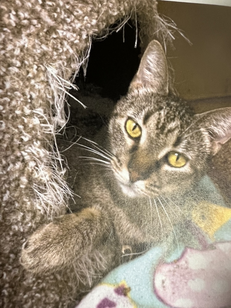 Pepperita