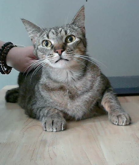 Pepperita