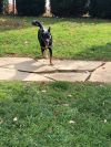 Lucky
