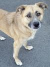 Lucy photo 2