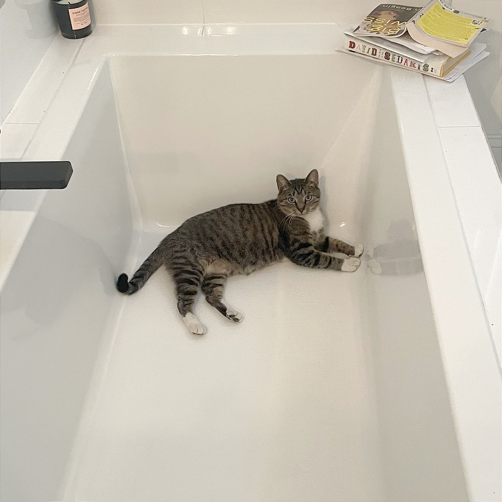 Mousie