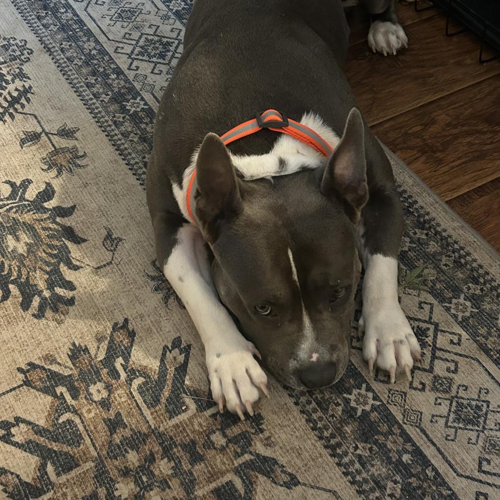 Reginald