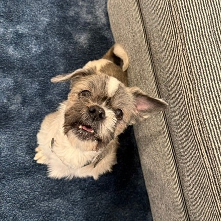 Chewy