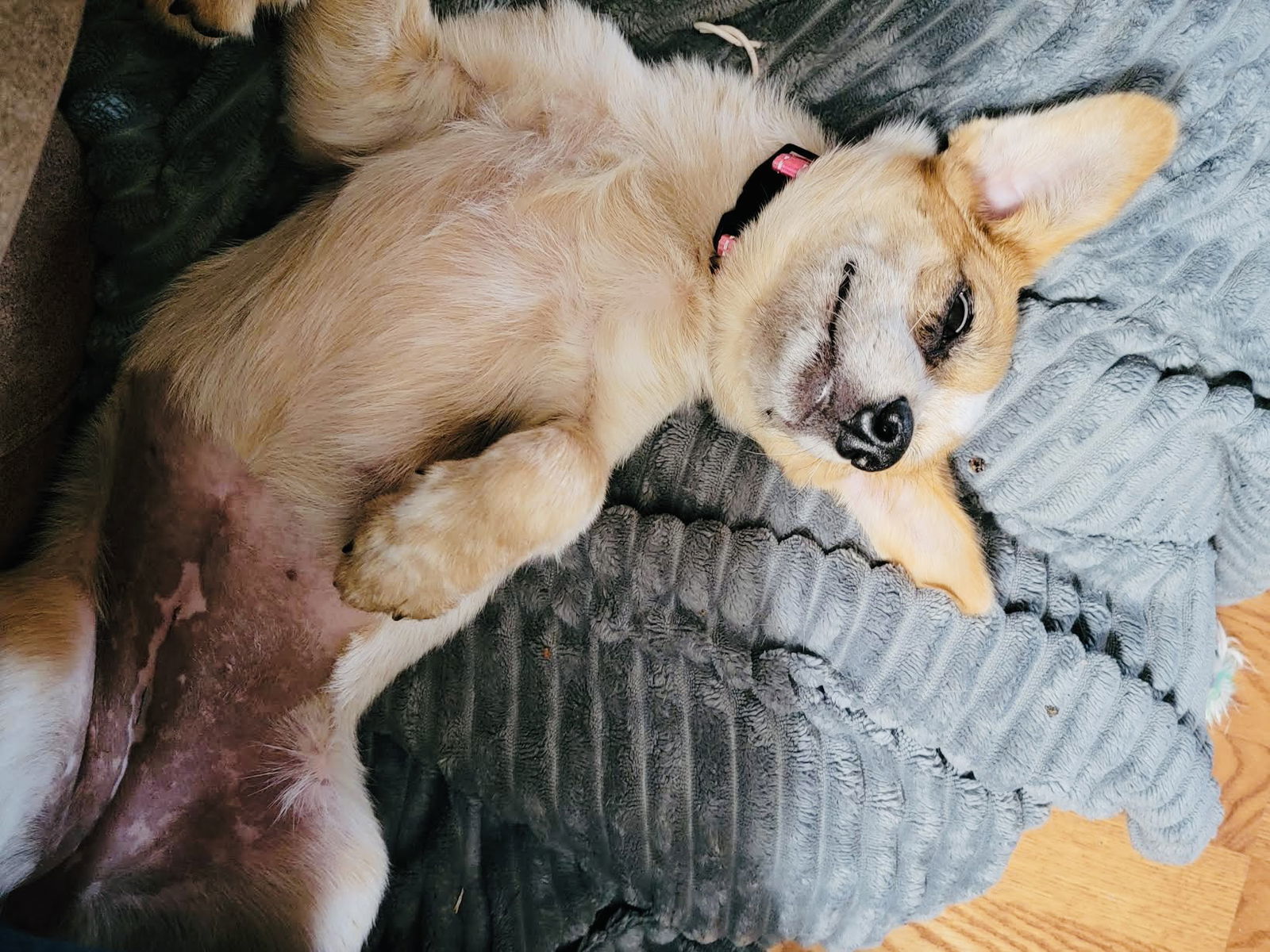 Mabel