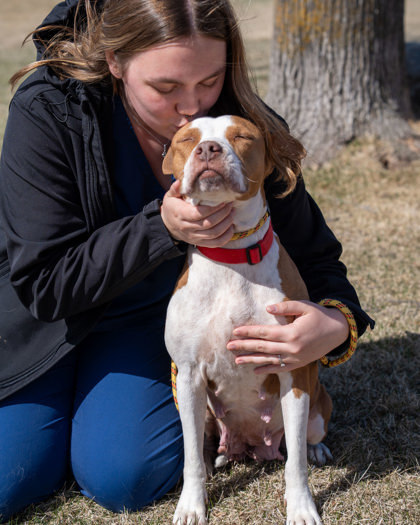 Bubbles, an adoptable Pit Bull Terrier, Mixed Breed in Pequot Lakes, MN, 56472 | Photo Image 1