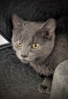 Elsie photo 3
