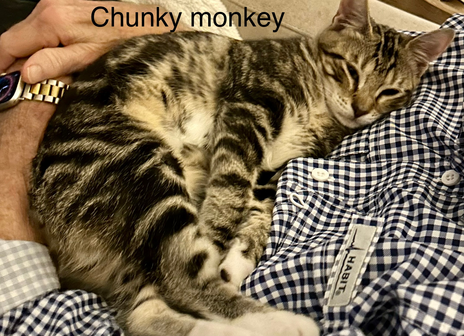Chunky Monkey