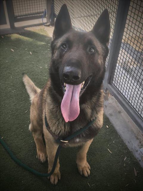 MILO