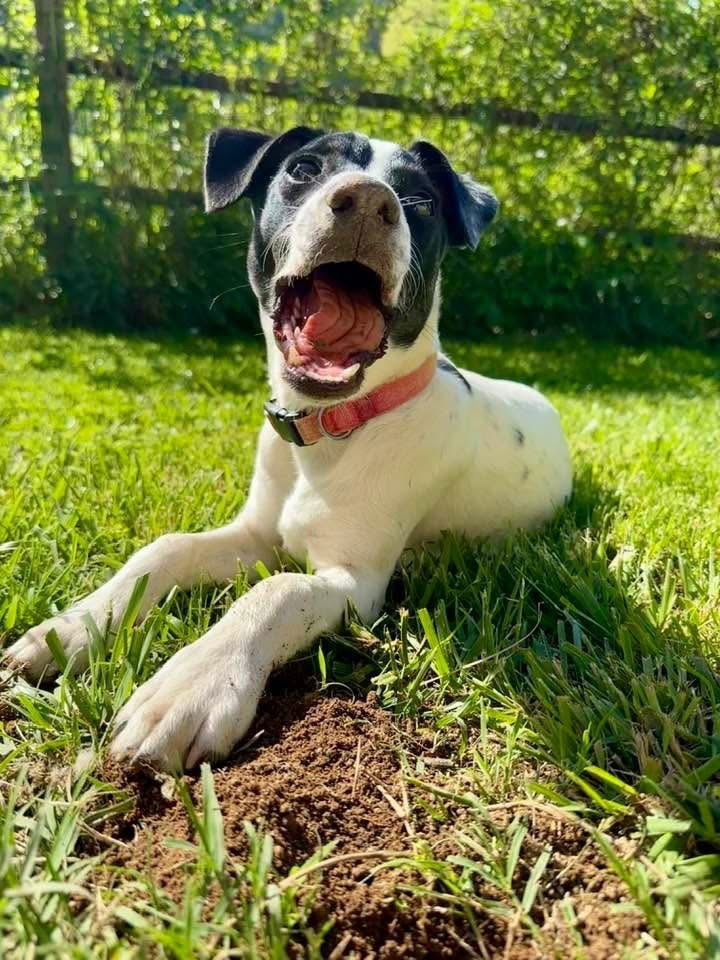 Carlos