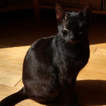 Roxanne
