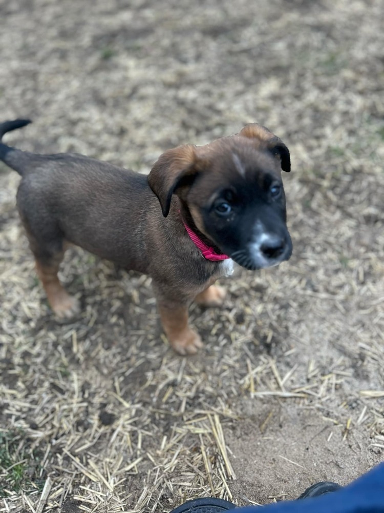 Oakley
