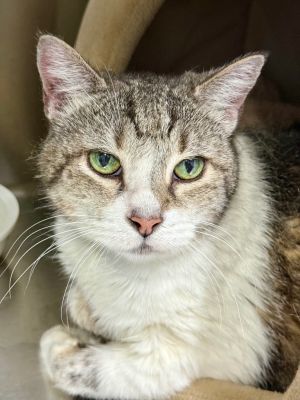 Martha, Senior Female unknown
