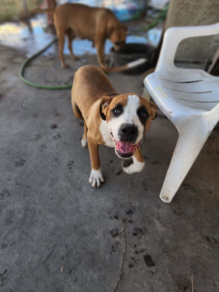 Duke