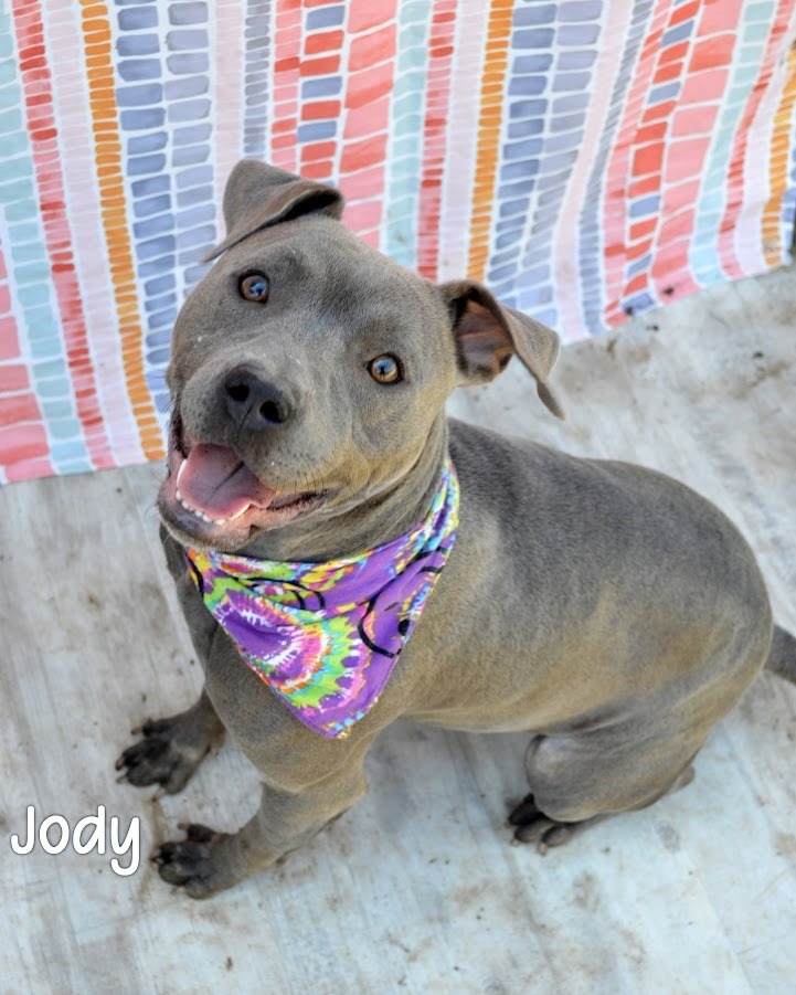 Jody