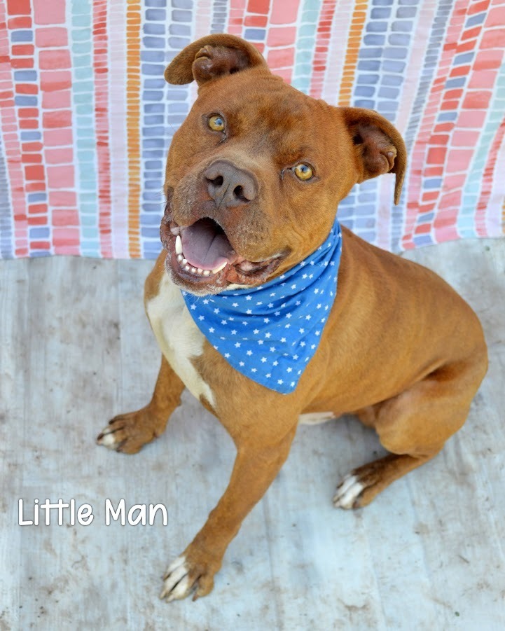 Little Man