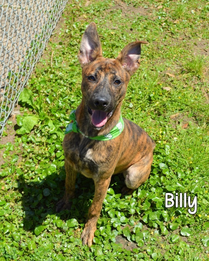 Billy
