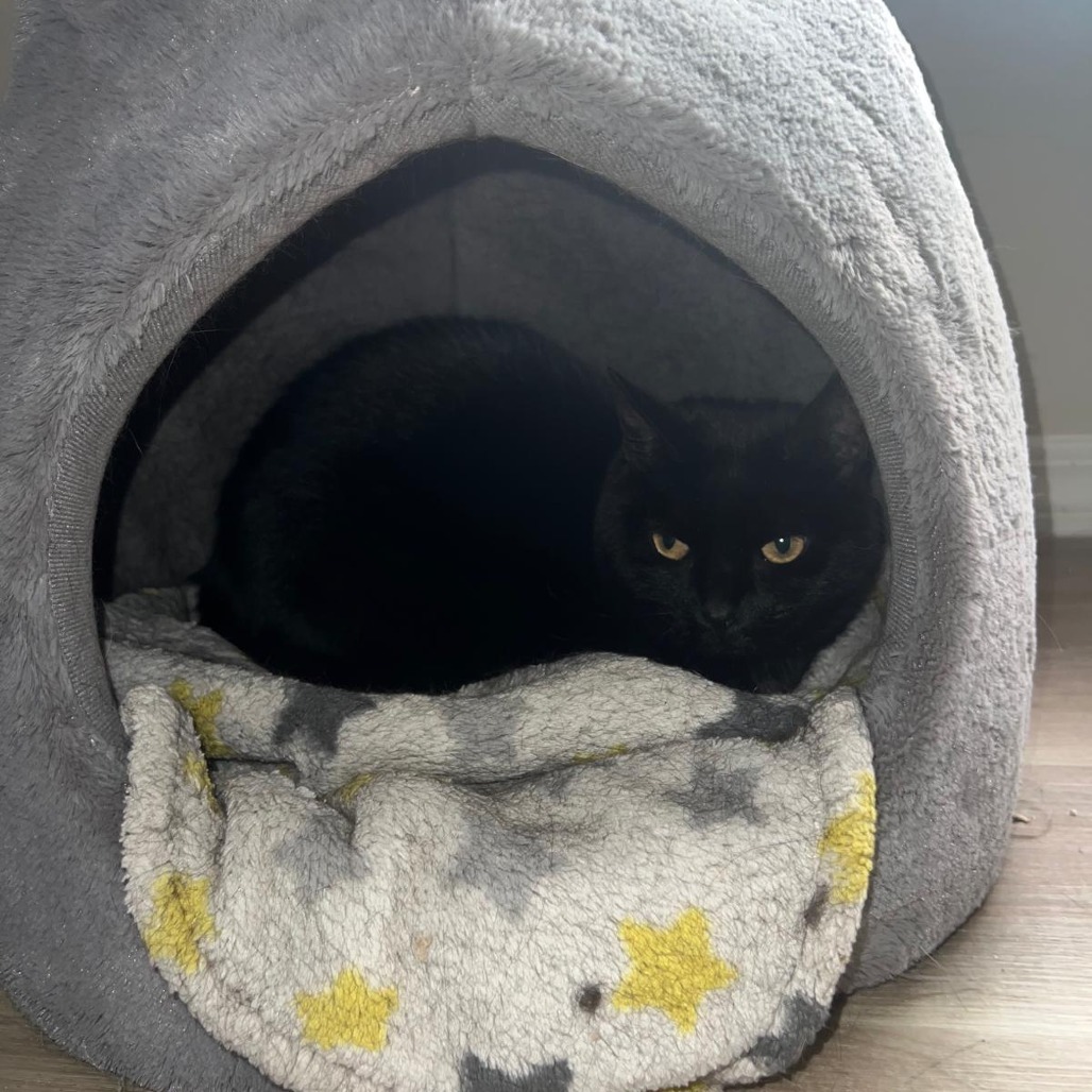 Luna