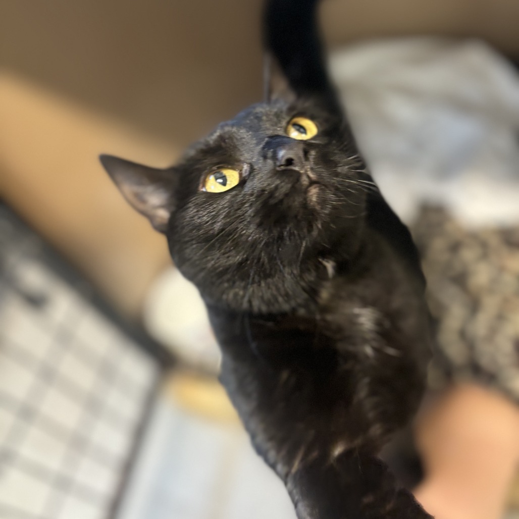 Luna