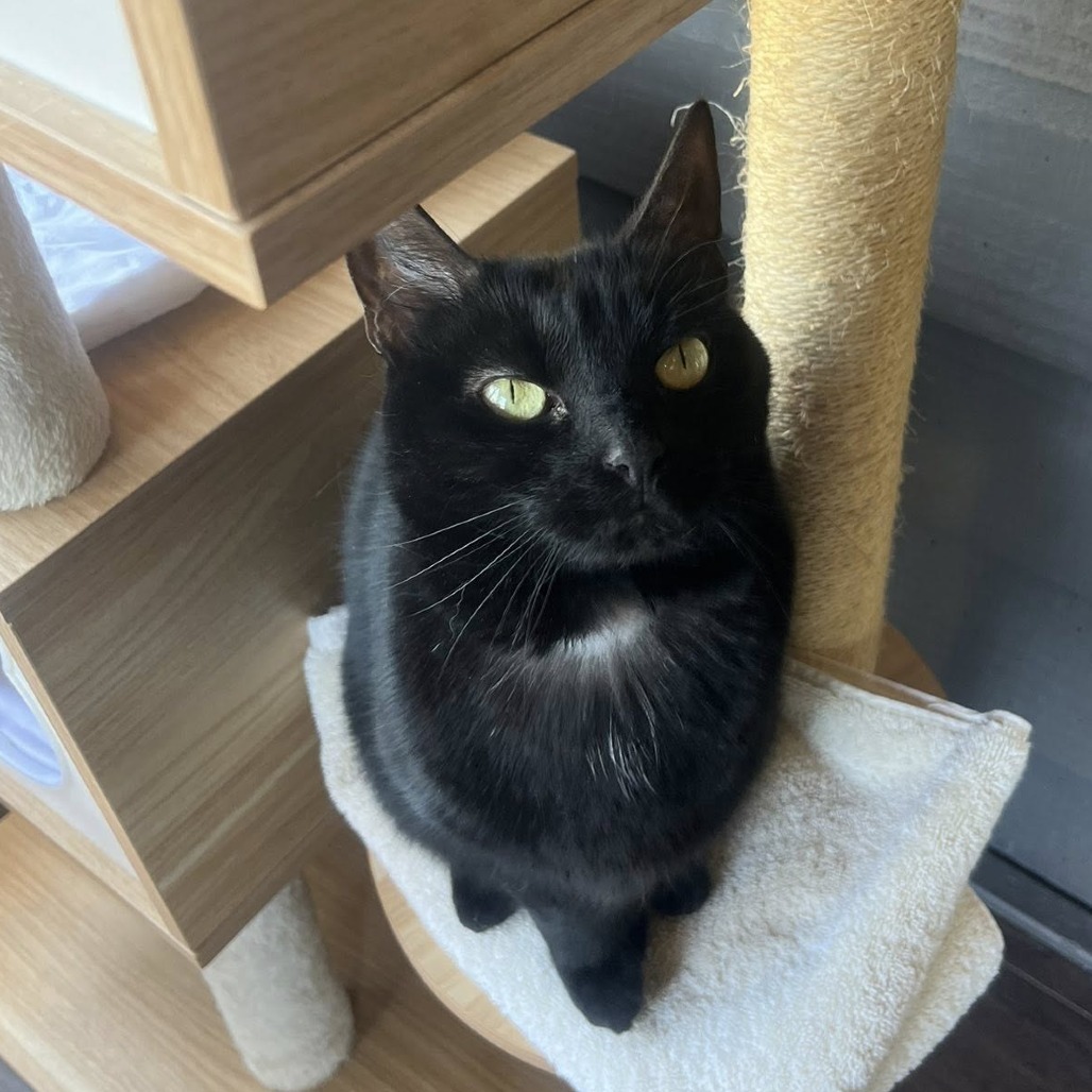 Luna