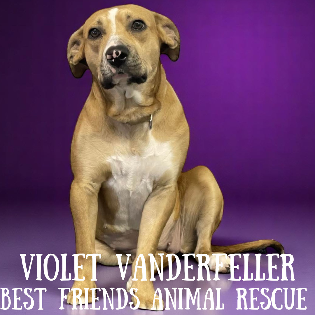 Violet Vanderfeller