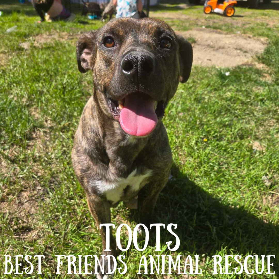 Toots