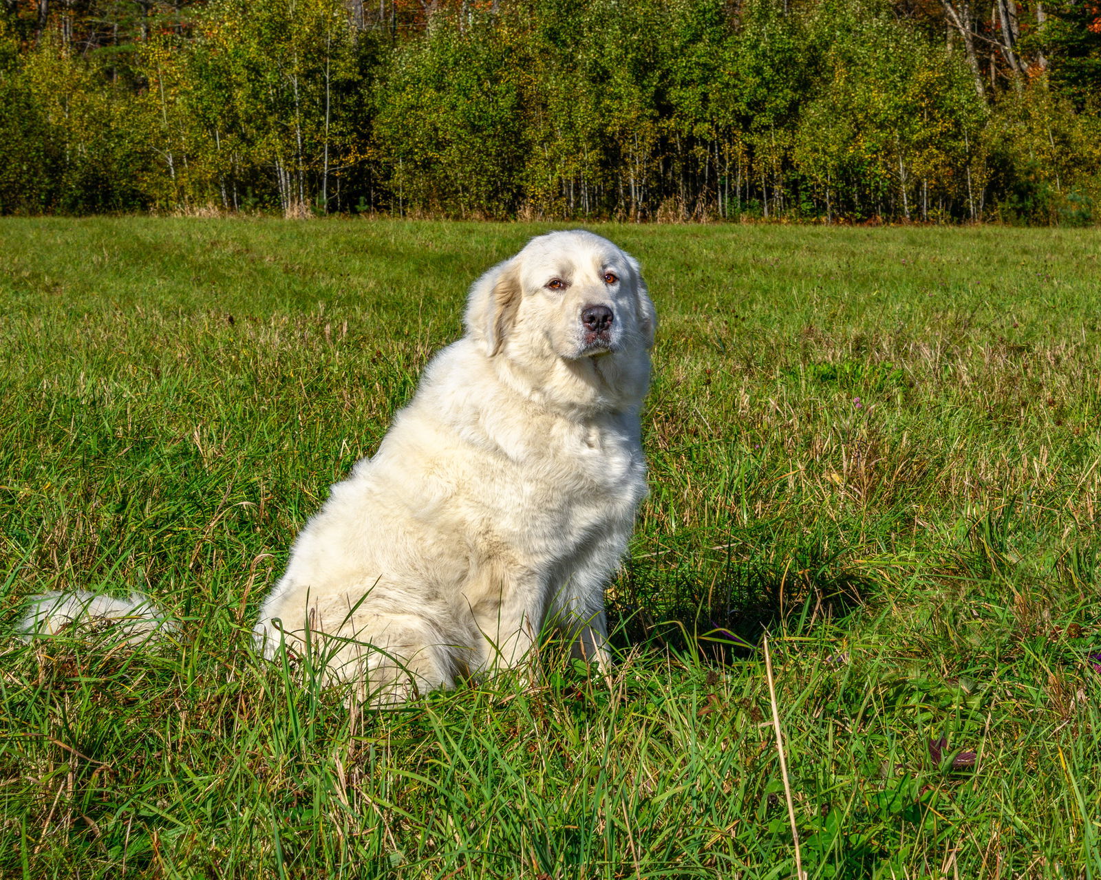 WYNTER in NH