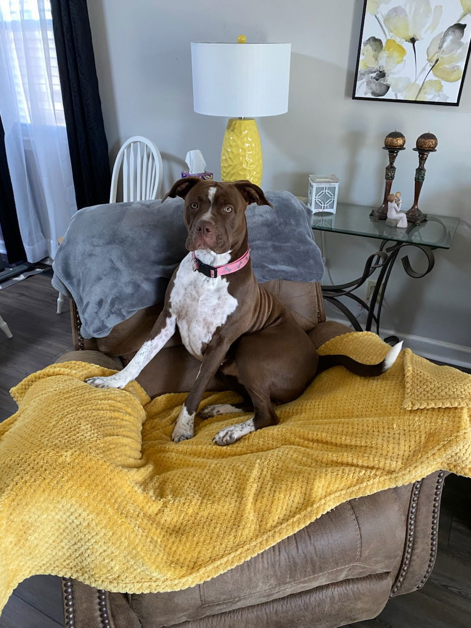 Layla courtesy post (jh)