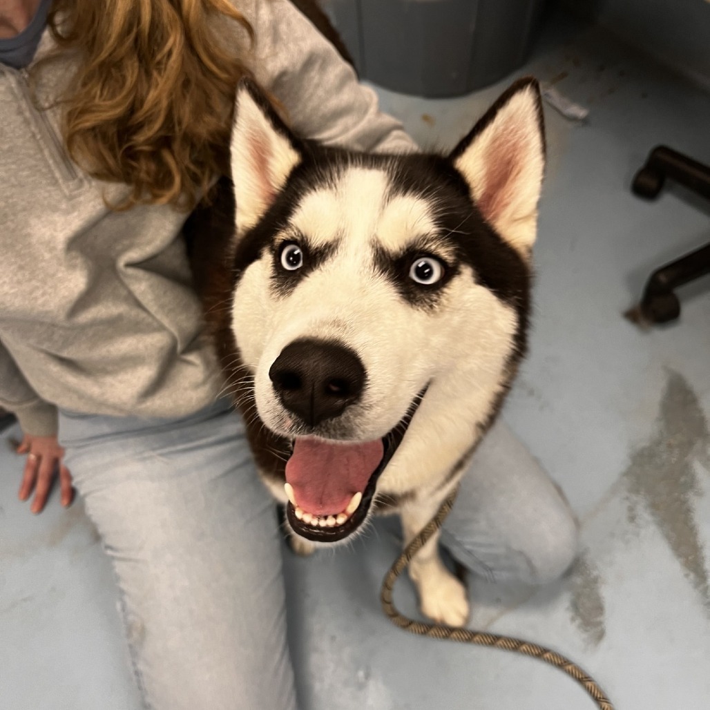 Luna