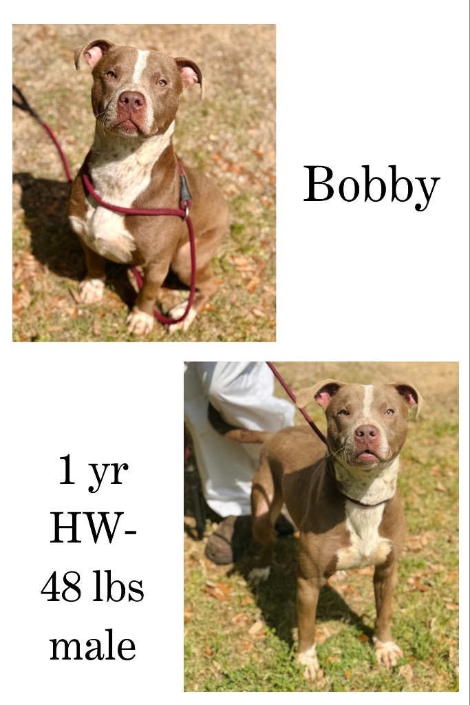 Bobby