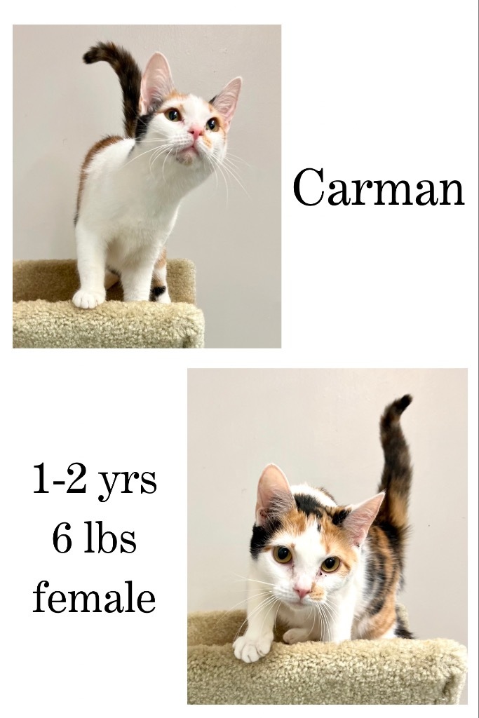 Carman