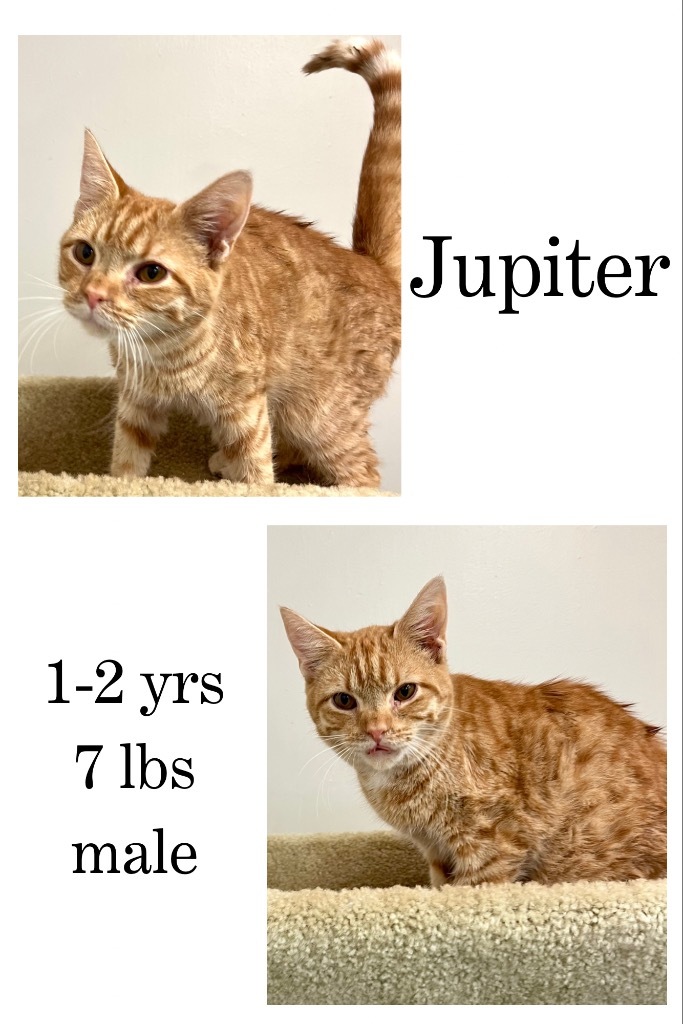 Jupiter