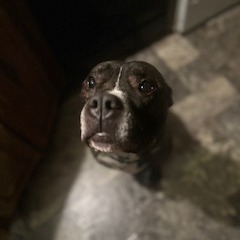 Kane