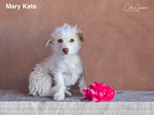 MARY KATE