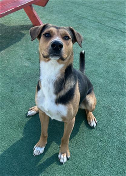 BUCKY- IN FOSTER