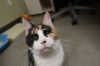 Xena photo 2