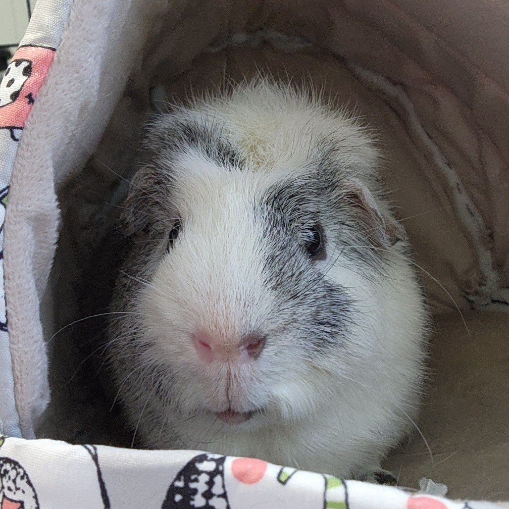 Ralph