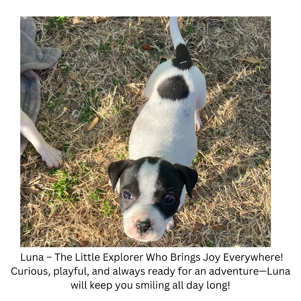 Luna